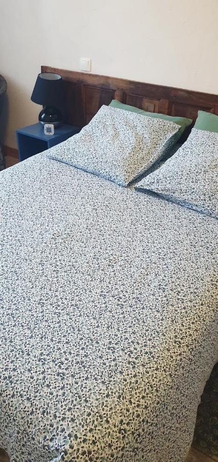 Gite Du Cafe Truchet Saint-Pancrace  Kültér fotó